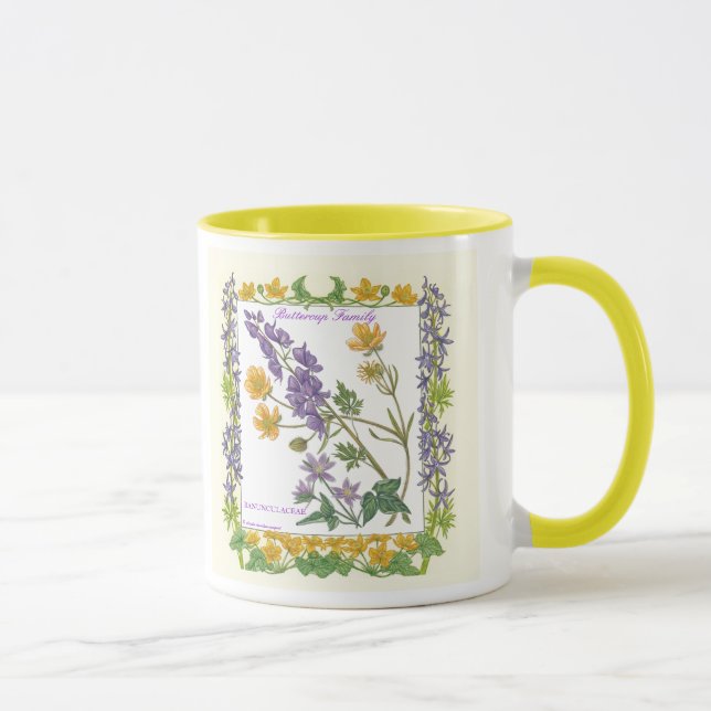 Dans la tasse de famille de renoncule de ~ de (Droite)