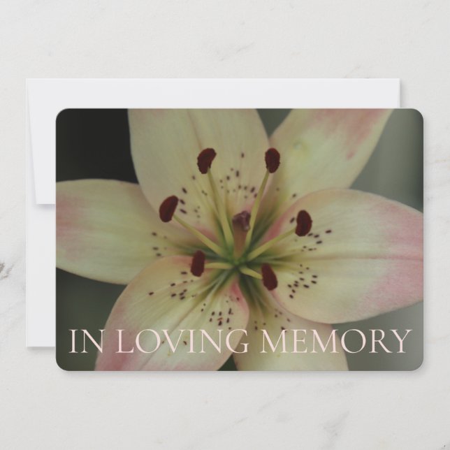 Dans l'amour Mémoire rose Lily Invitation (Devant)