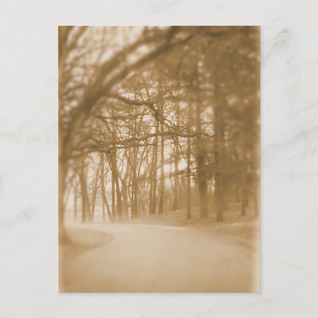 Dans le brouillard - Carte postale (Devant)