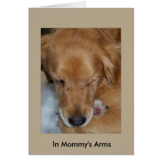 Dans les bras de maman