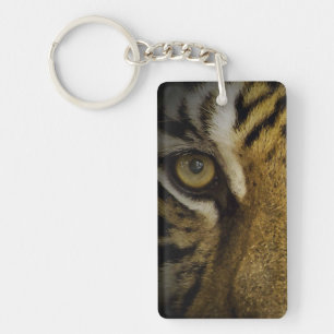 Dans l'oeil d'un tigre
