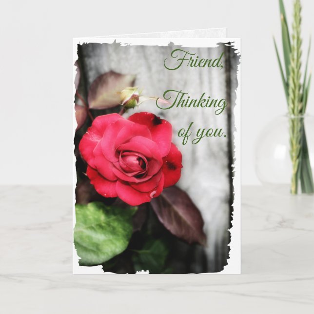 Dans son amour (Devant)