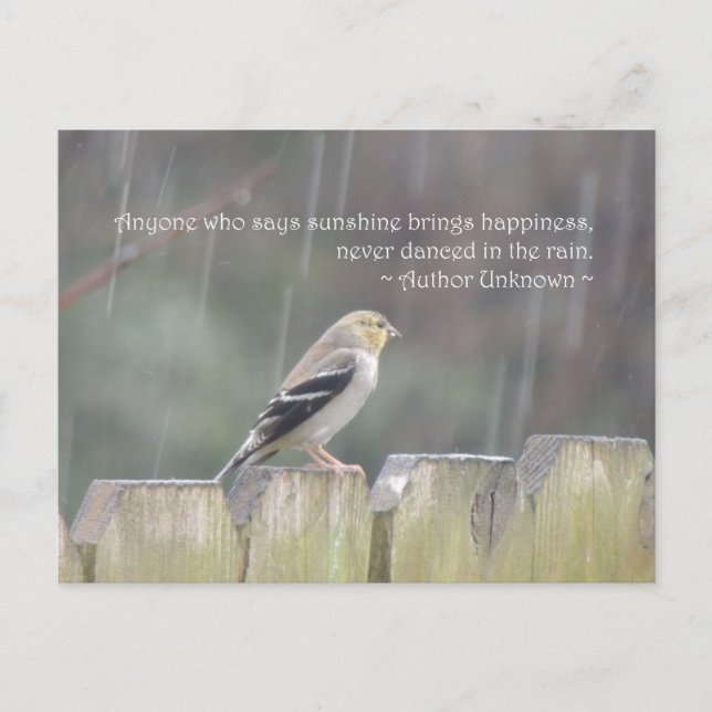 Danse dans la carte postale de la pluie Goldfinch (Devant)
