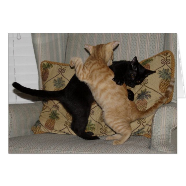 Danse de chat (Devant horizontal)