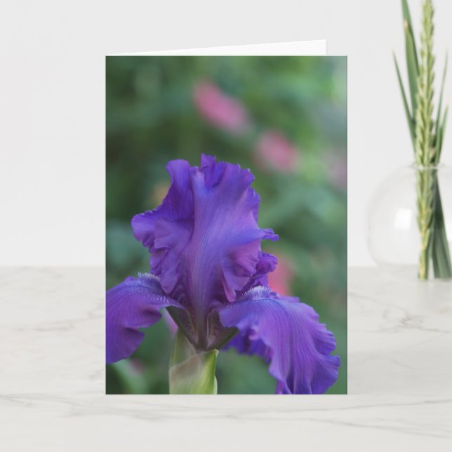 Danse de la carte de voeux Iris violet (Devant)