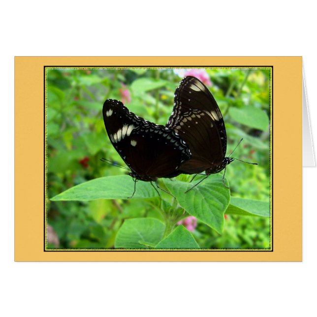 Danse de mariage (Devant horizontal)