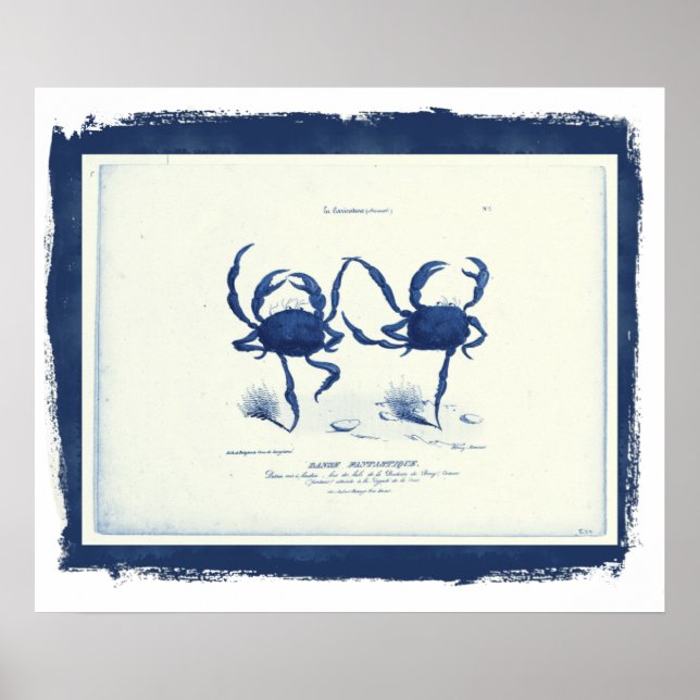 Danse Fantastique, 1829 in Black Frame (remix Poster (Front)