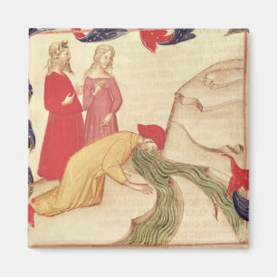 Dante purifying himself before entering magnet