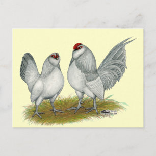 D'Anvers Self Blue Bantams Postcard