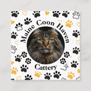 D'appel Carte de visite carrée pour éleveur de Maine Coon 