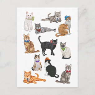 Dapper Cats Postcard