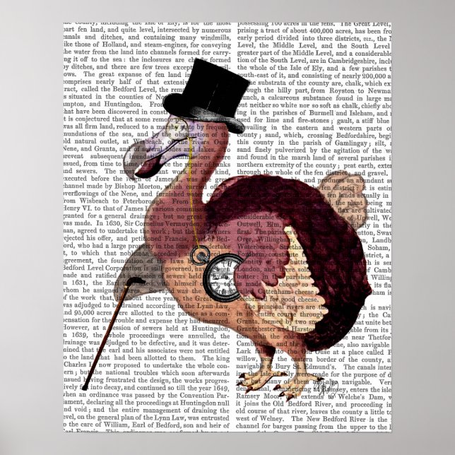 Dapper Dodo Poster (Front)