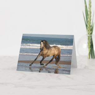 Dapple Grey Andalucian Stallion On Beach Card