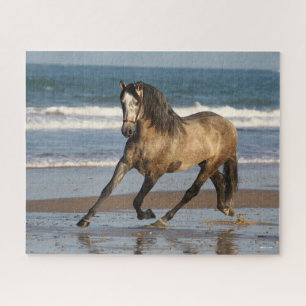 Dapple Grey Andalucian Stallion On Beach Jigsaw Puzzle
