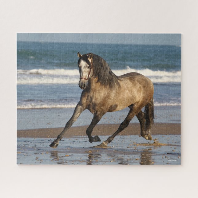 Dapple Grey Andalucian Stallion On Beach Jigsaw Puzzle (Horizontal)