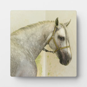 Dapple Grey Andalusian Horse Plaque