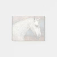 Dapple Grey Andalusian Horse Portrait