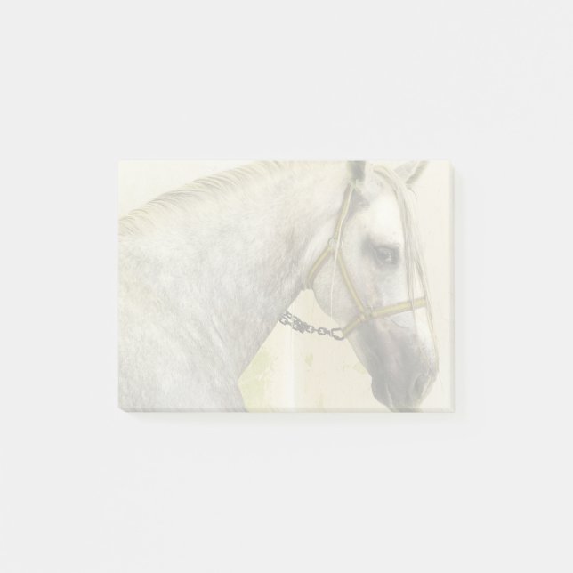 Dapple Grey Andalusian Horse Post-it Notes (Front)