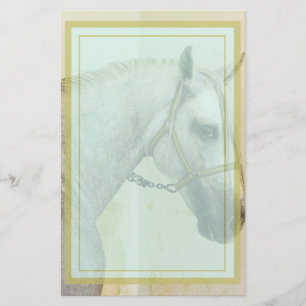 Dapple Grey Andalusian Horse Stationery