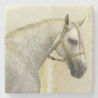 Dapple Grey Andalusian Horse