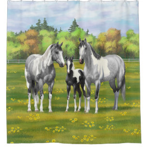 Dapple Grey Pinto Paint Horses In Summer Pasture