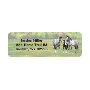 Dapple Grey Pinto Paint Horses In Summer Pasture