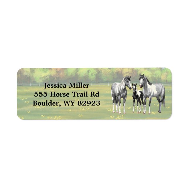 Dapple Grey Pinto Paint Horses In Summer Pasture (Front)