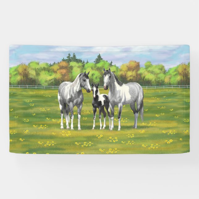 Dapple Grey Pinto Paint Horses In Summer Pasture Banner (Horizontal)