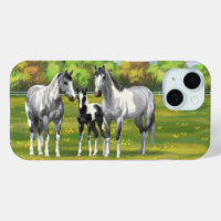 Dapple Grey Pinto Paint Horses In Summer Pasture