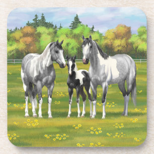 Dapple Grey Pinto Paint Horses In Summer Pasture Coaster
