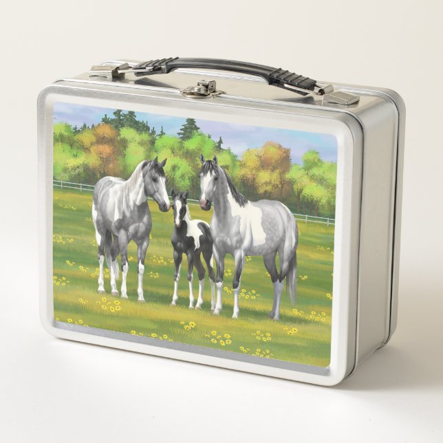 Dapple Grey Pinto Paint Horses In Summer Pasture Metal Lunch Box (Front)