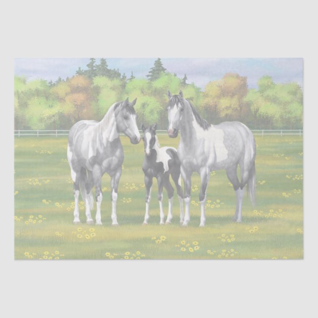 Dapple Grey Pinto Paint Horses In Summer Pasture Tissue Paper (Front)