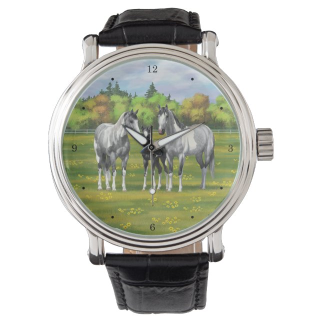 Dapple Grey Pinto Paint Horses In Summer Pasture Watch (Front)