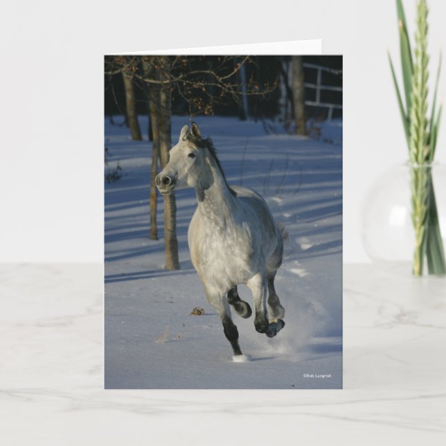 Dapple Grey Trakehner Running in the Snow Card (Front)