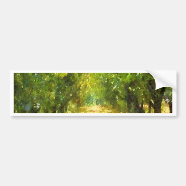 Dappled Light of Day Dreams Tree Avenue Art Bumper Sticker (Front)
