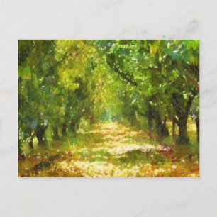 Dappled Light of Day Dreams Tree Avenue Art Postcard