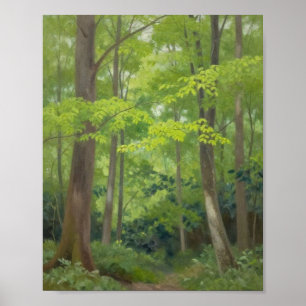 Dappled Sunlight Filtering Through the Summer Cano Poster