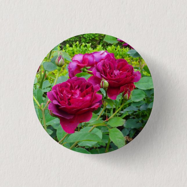 Darcey Bussell Rose #2 Button (Front)