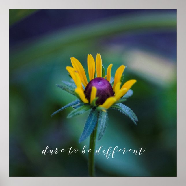Dare to be different - Beautiful flower photograph Poster (Front)