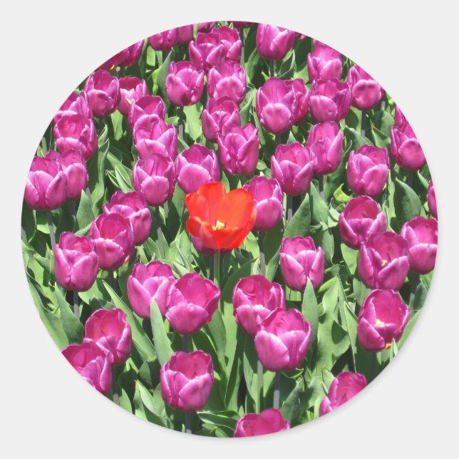 Dare to be different classic round sticker (Front)