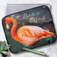 Dare to be Different Pink Flamingo Photo Modern