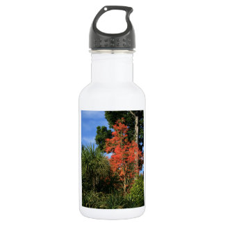 Dare to be Different - Show off your true colours 532 Ml Water Bottle