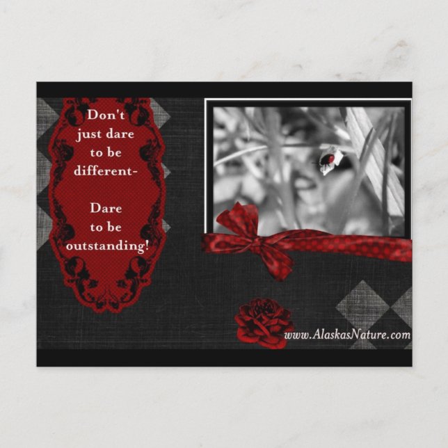 Dare To Be..... Postcard (Front)