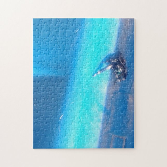 daring or bold jumping spider jigsaw puzzle (Vertical)