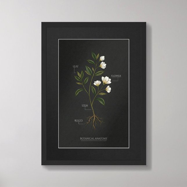 Dark Academia Botanical Anatomy Poster (Créateur téléchargé)