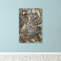Dark Academia Haeckel Vintage Frog Nature Print