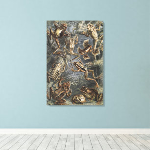 Dark Academia Haeckel Vintage Frog Nature Print
