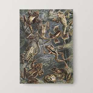 Dark Academia Haeckel Vintage Frog Nature Print