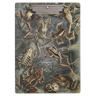 Dark Academia Haeckel Vintage Frog Nature Print Clipboard