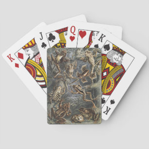 Dark Academia Haeckel Vintage Frog Nature Print Playing Cards